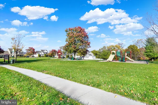 a view of a big yard with plants and a trees