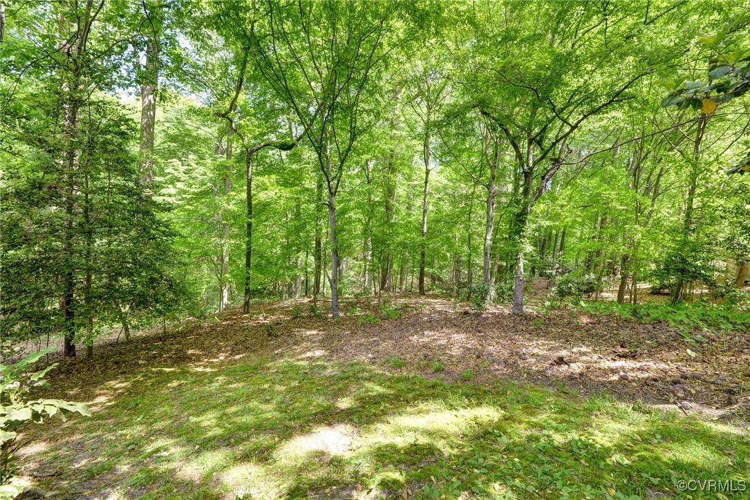 7 Hague Close Williamsburg, VA 23185 - Photo 48 of 50 a view of a yard with large trees
