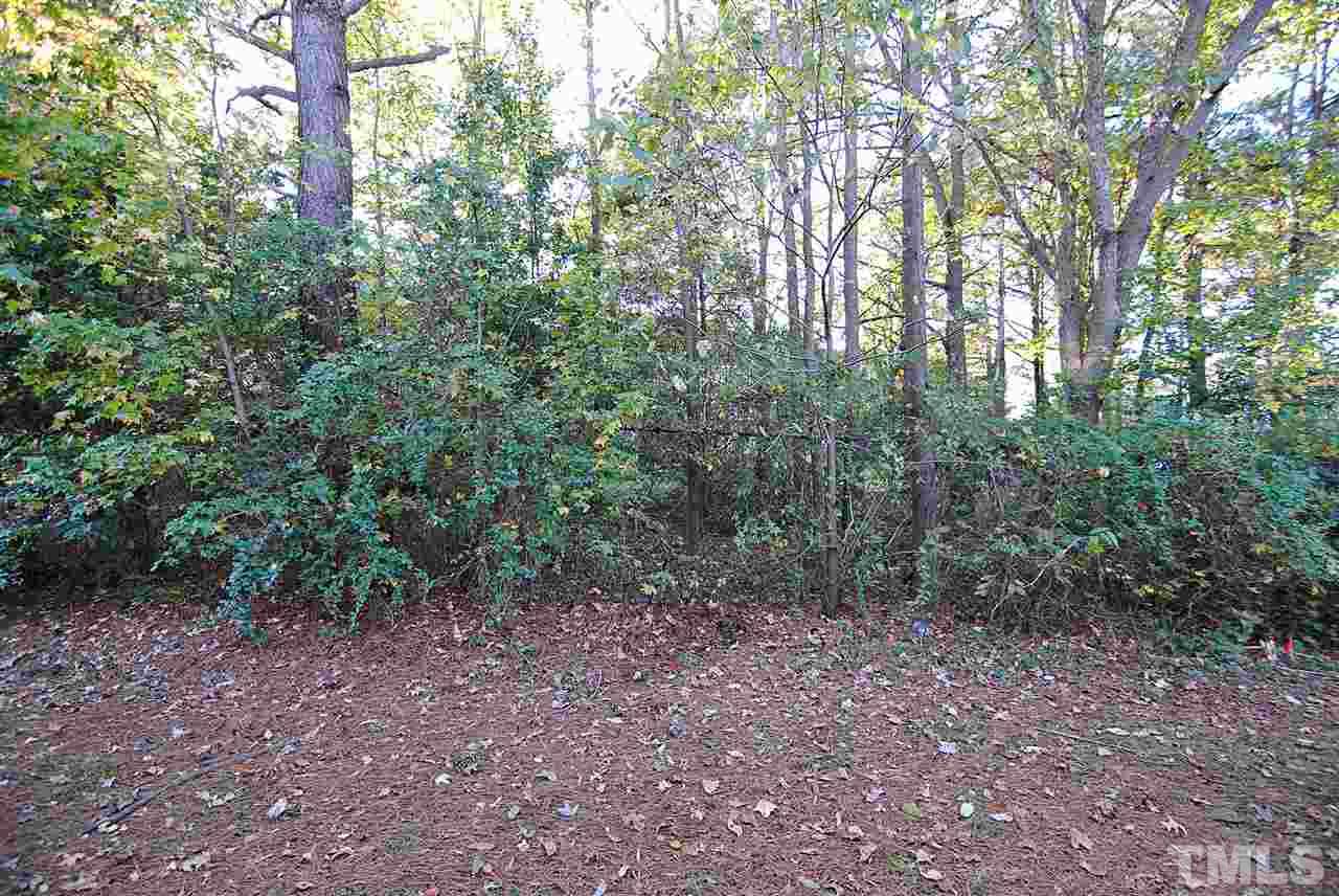 8914 Thornton Garden Lane Raleigh, NC 27616 - Photo 3 of 4 a view of a forest that has large trees