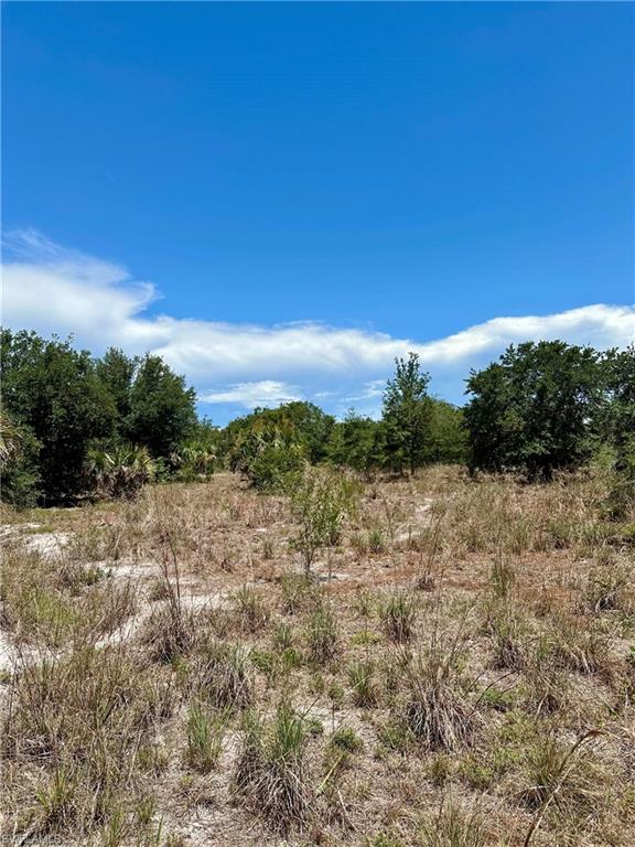 1701 Cabbage Wood Road Okeechobee, FL 34974 - Photo 13 of 16 View of undeveloped land