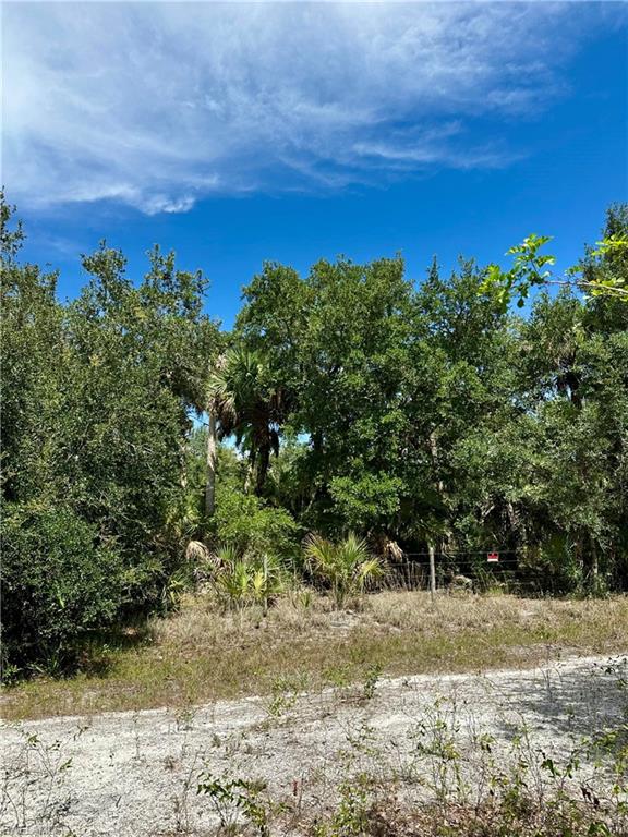 1701 Cabbage Wood Road Okeechobee, FL 34974 - Photo 14 of 16 View of undeveloped land