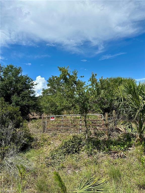 1701 Cabbage Wood Road Okeechobee, FL 34974 - Photo 15 of 16