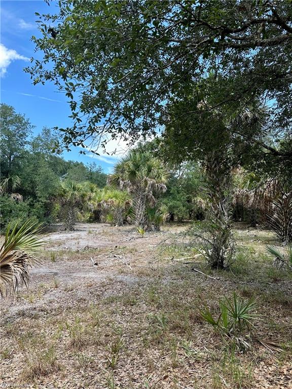 1701 Cabbage Wood Road Okeechobee, FL 34974 - Photo 16 of 16 View of nature