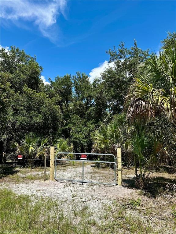 1701 Cabbage Wood Road Okeechobee, FL 34974 - Photo 6 of 16 View of yard with a gate