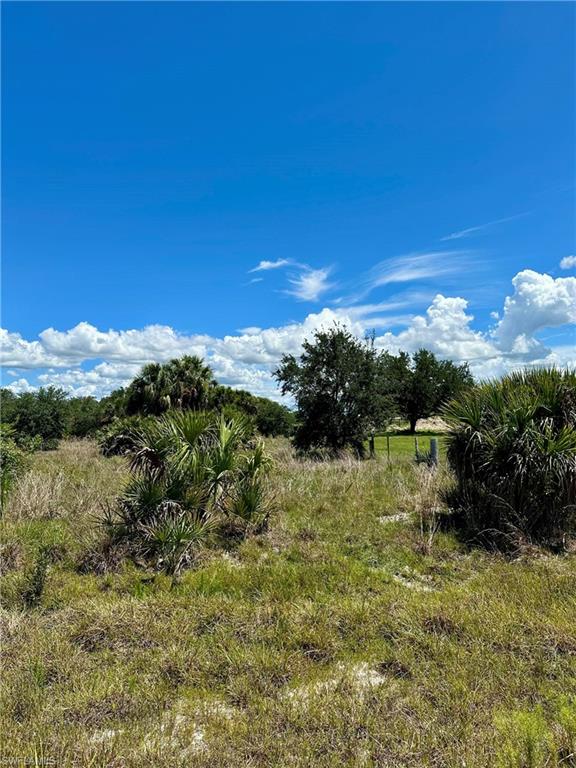 1701 Cabbage Wood Road Okeechobee, FL 34974 - Photo 8 of 16 View of yard