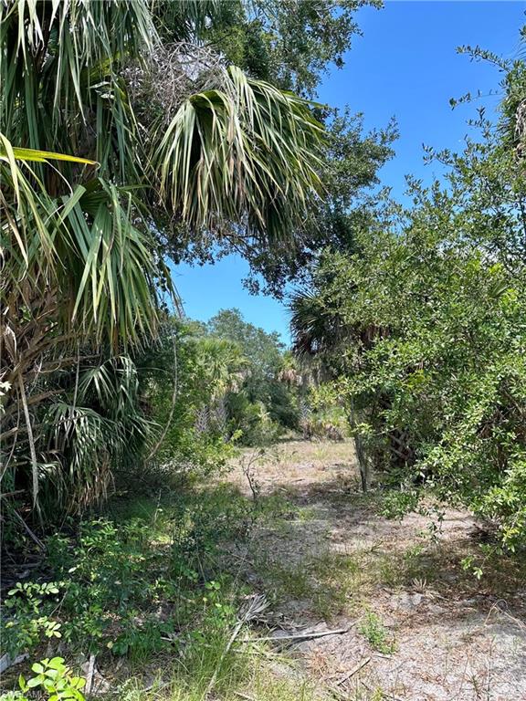 1701 Cabbage Wood Road Okeechobee, FL 34974 - Photo 10 of 16 View of undeveloped land