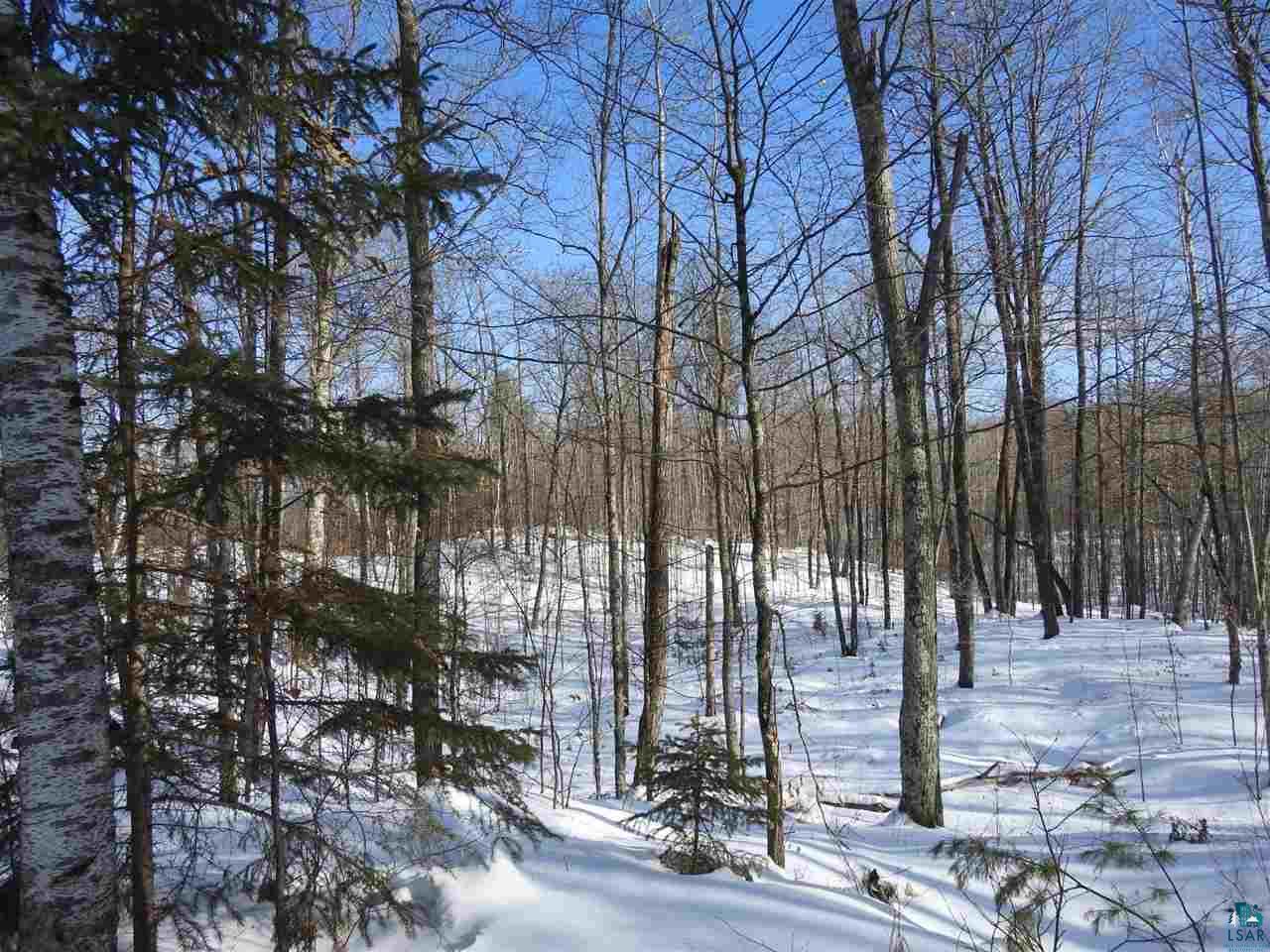 Lot 3 Karow Trail Cable, WI 54821 - Photo 2 of 8 Gallery Image 2