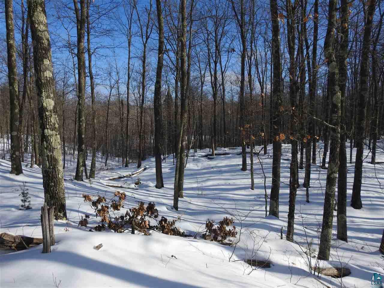 Lot 3 Karow Trail Cable, WI 54821 - Photo 3 of 8 Gallery Image 3