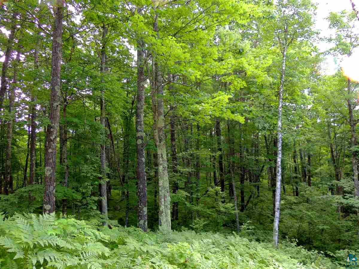 Lot 3 Karow Trail Cable, WI 54821 - Photo 4 of 8 Gallery Image 4