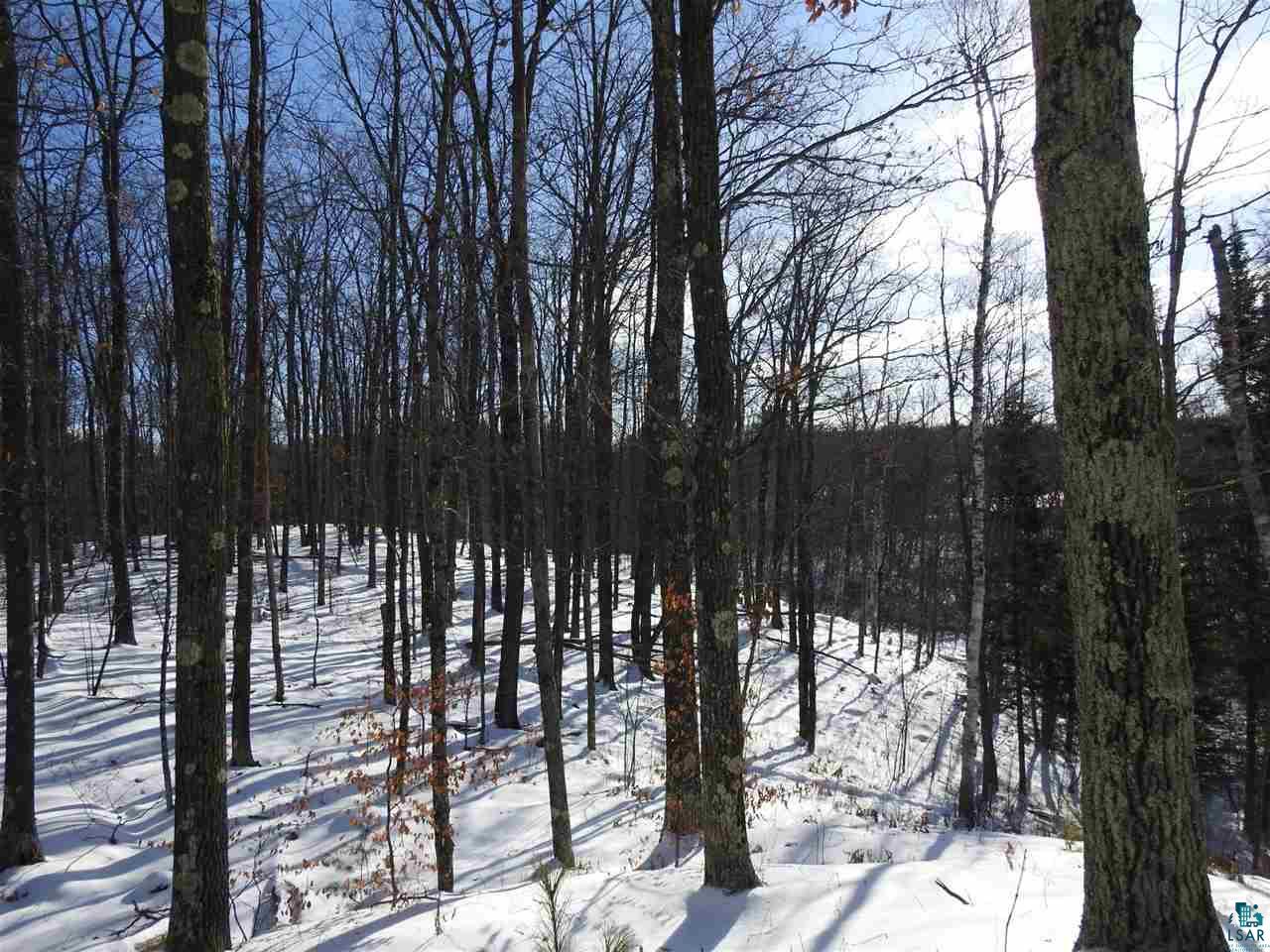 Lot 3 Karow Trail Cable, WI 54821 - Photo 5 of 8 Gallery Image 5