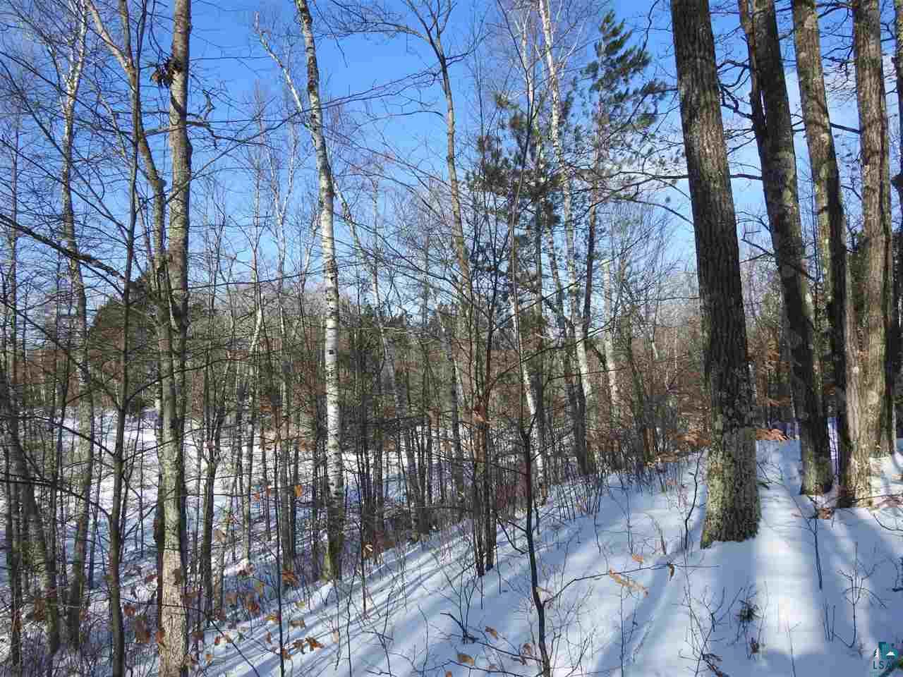 Lot 3 Karow Trail Cable, WI 54821 - Photo 7 of 8 Gallery Image 7