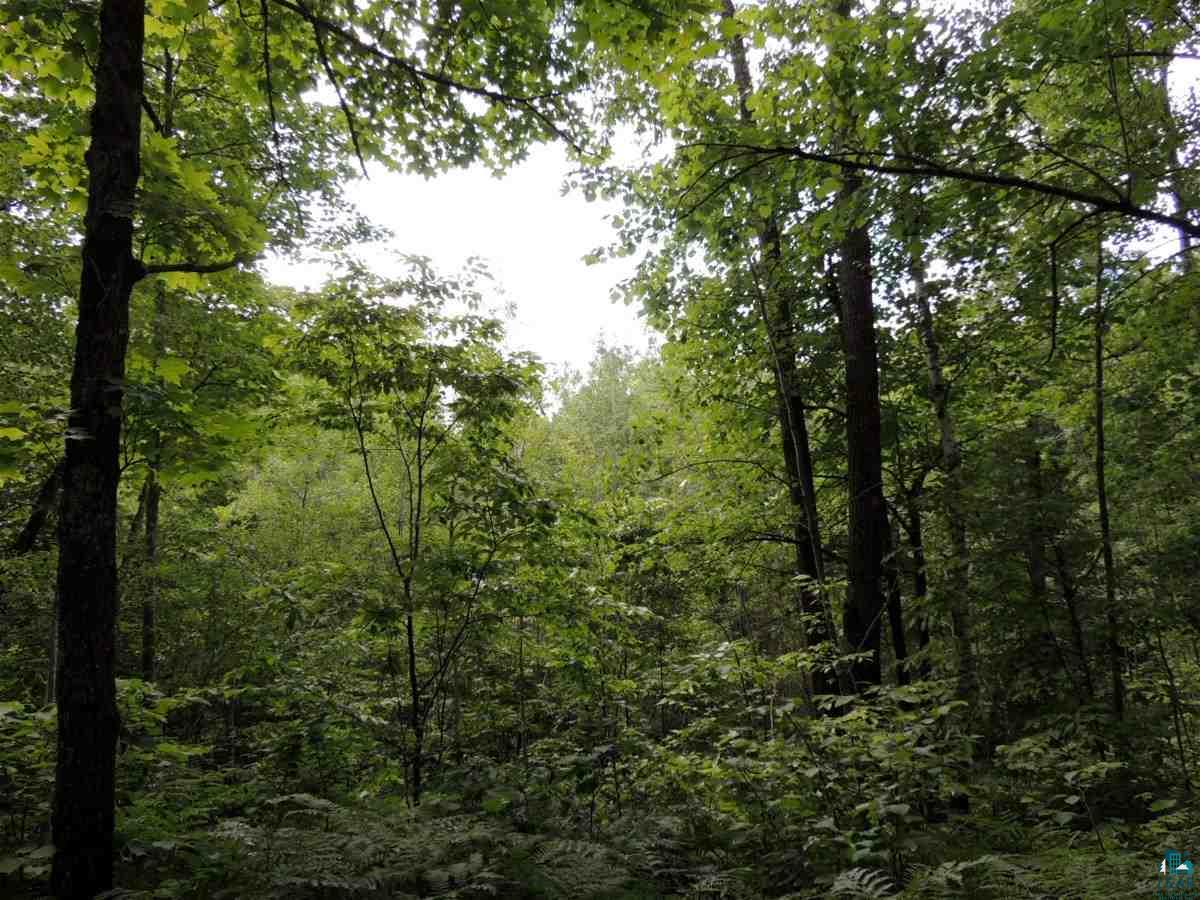 Lot 3 Karow Trail Cable, WI 54821 - Photo 8 of 8 Gallery Image 8