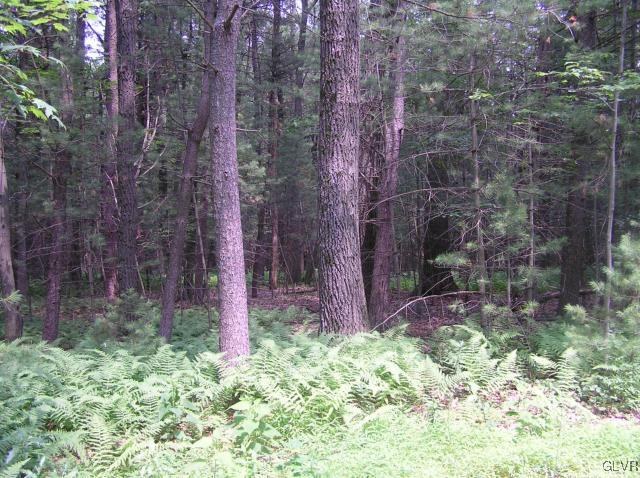 Arbor Road Lehighton, PA 18235 - Photo 2 of 3 Gallery Image 2