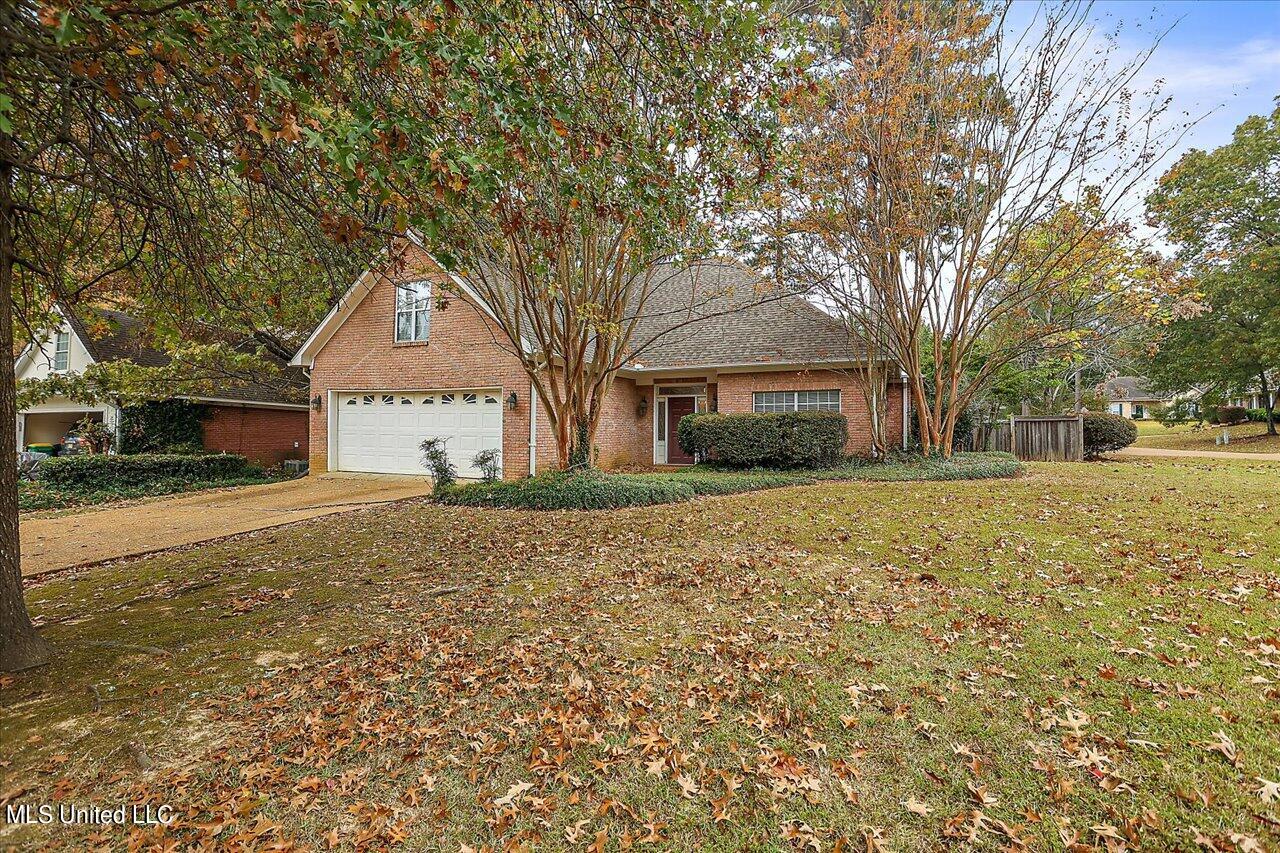 02-425 Pine Brake Cir