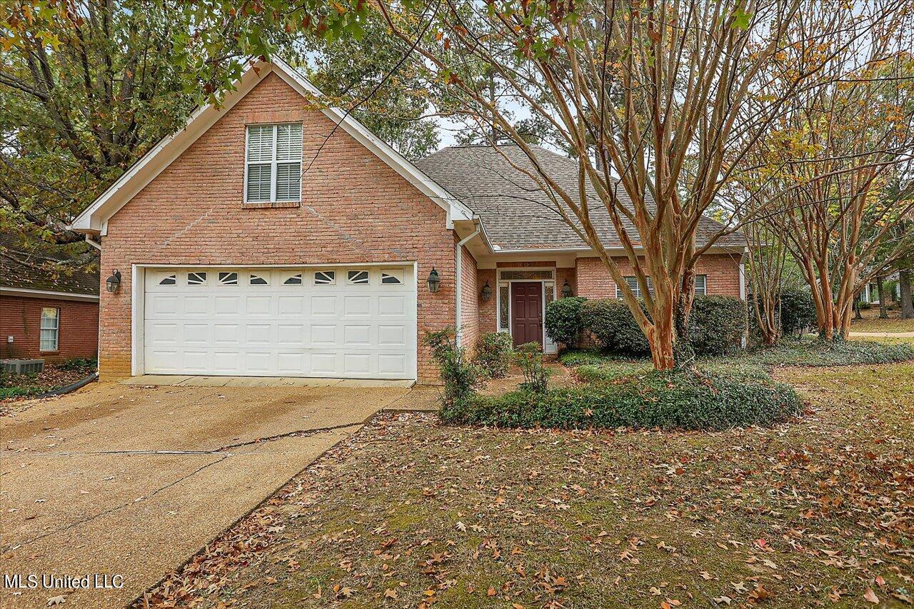 07-425 Pine Brake Cir