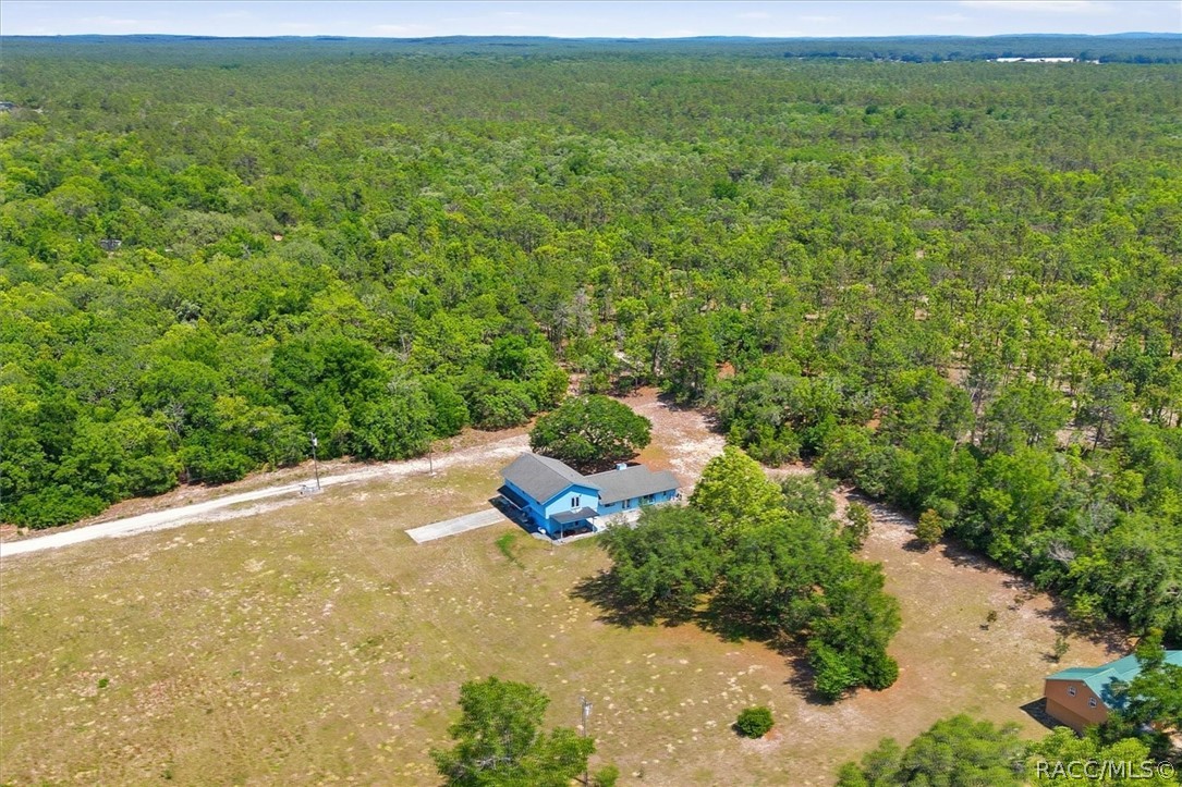 7480 South Hobbs Point Lecanto, FL 34461 - Photo 38 of 45