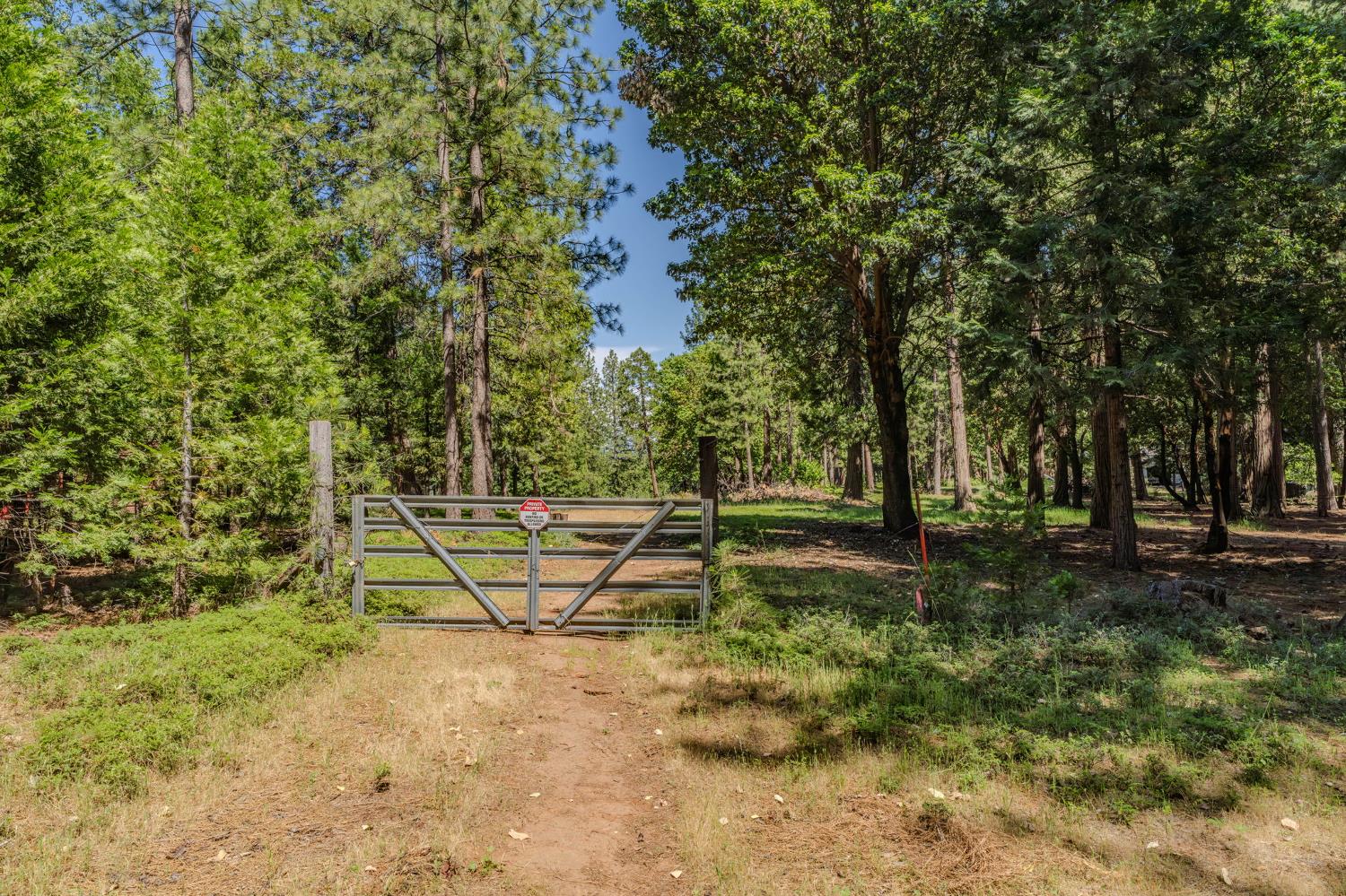 0 Schaefer Ranch Road Pioneer, CA 95666 - Photo 27 of 72