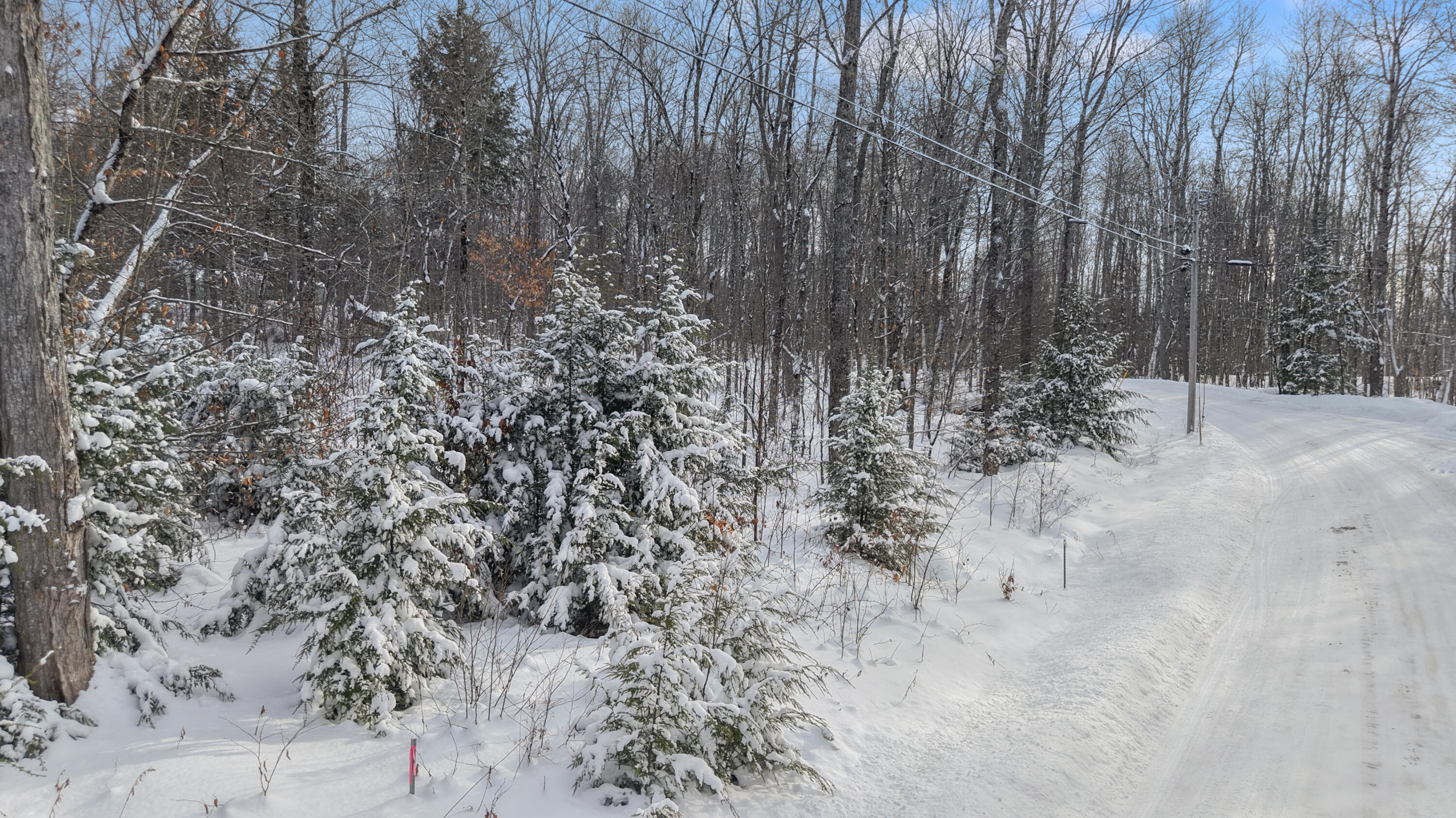M30-c L28 Pond Road St. Albans, ME 04971 - Photo 19 of 22 dji_fly_20260127_141432_0461_17695428246