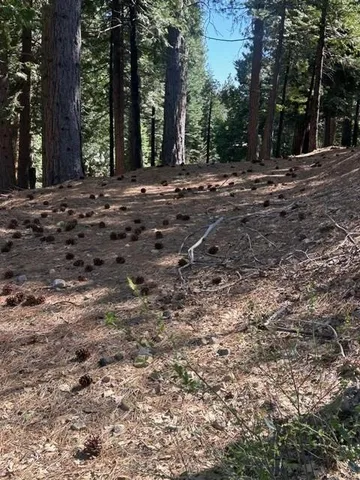 $39,950 | 2179 Navajo Drive, Arnold, CA 95223