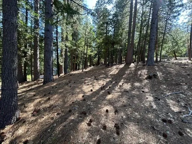 $39,950 | 2179 Navajo Drive, Arnold, CA 95223