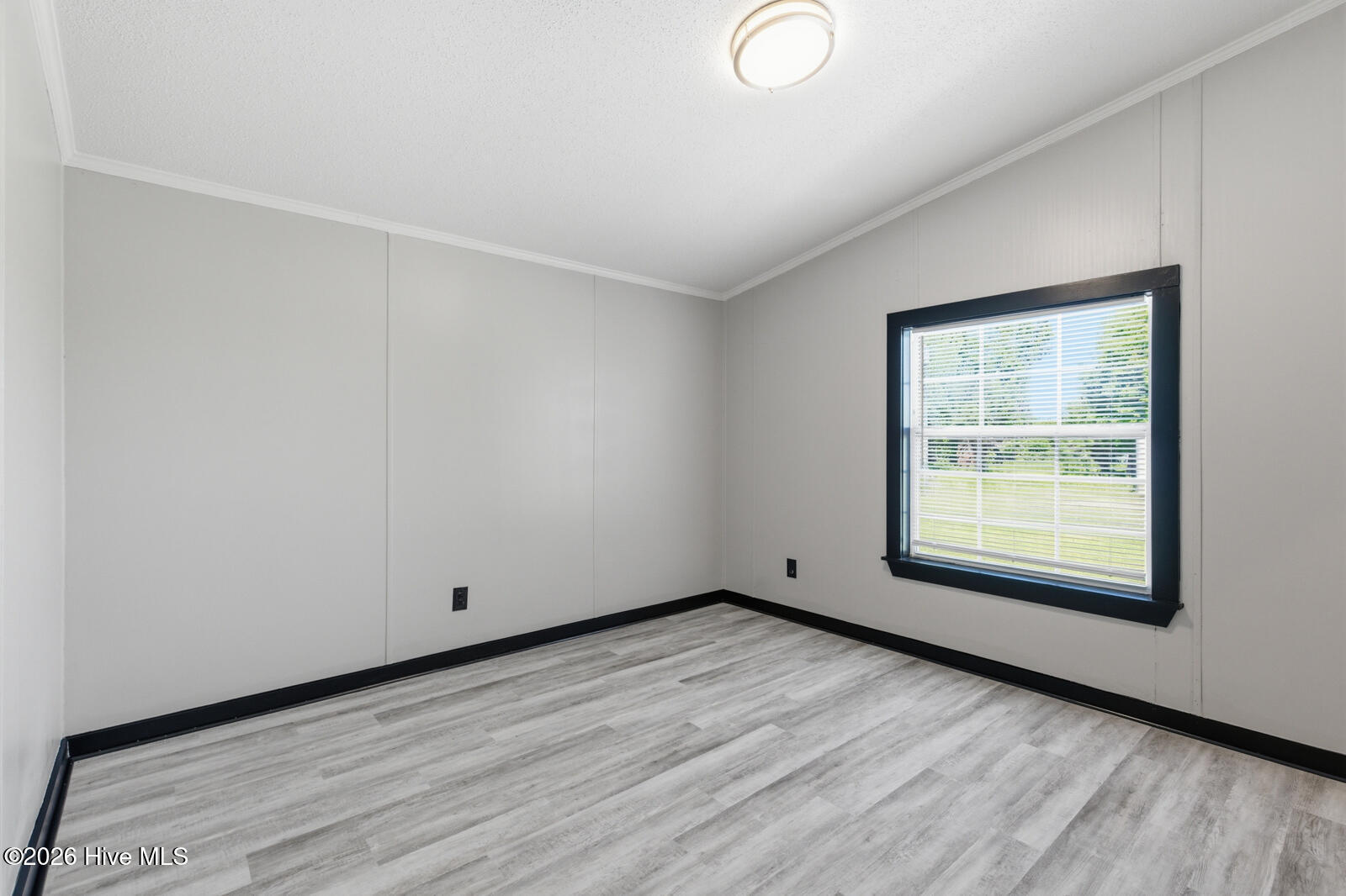566 Rhodestown Road Jacksonville, NC 28540 - Photo 17 of 26 rhodestown-17