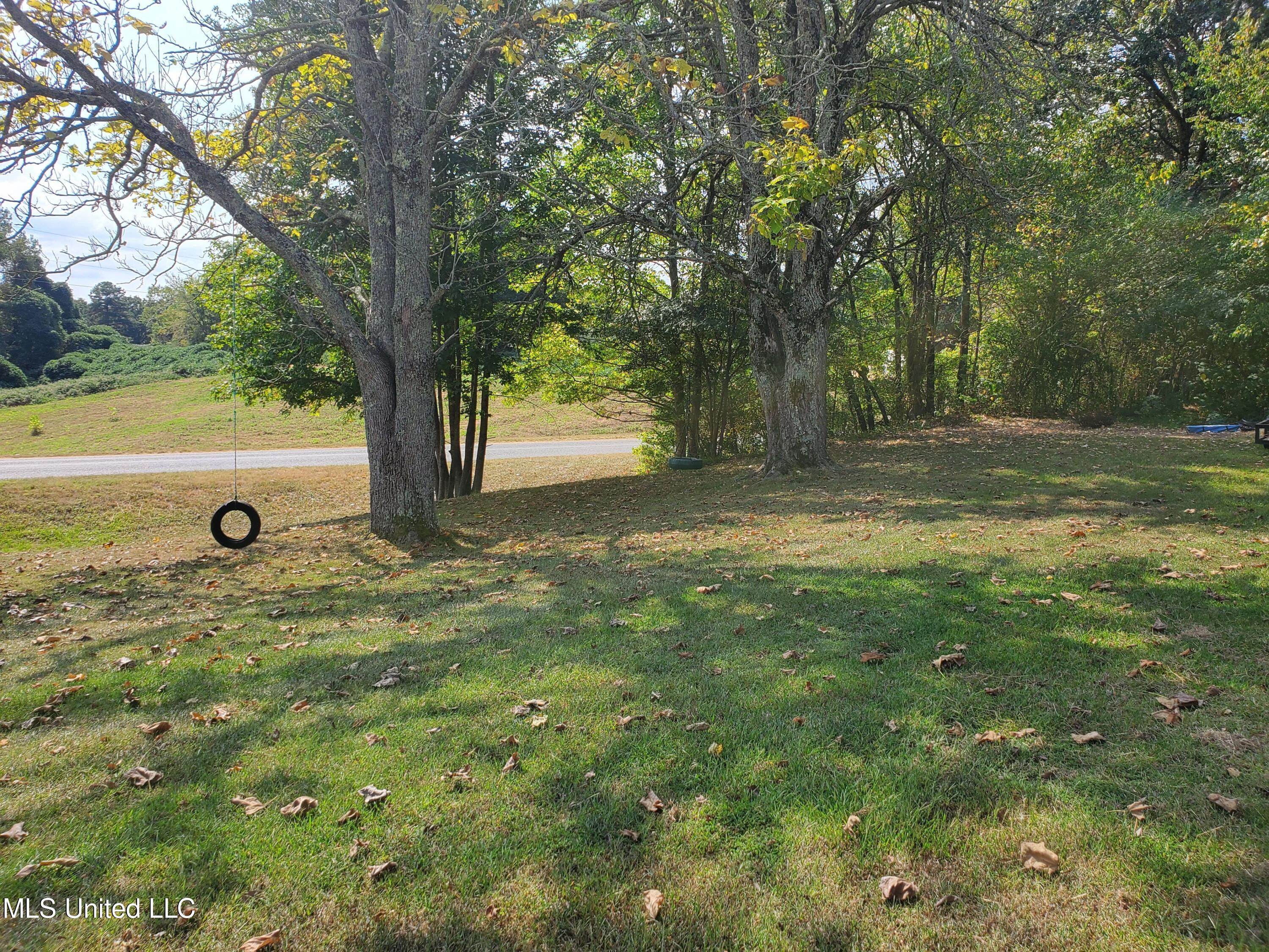 10239 Teasdale Road Enid, MS 38927 - Photo 17 of 21 20230930_114603