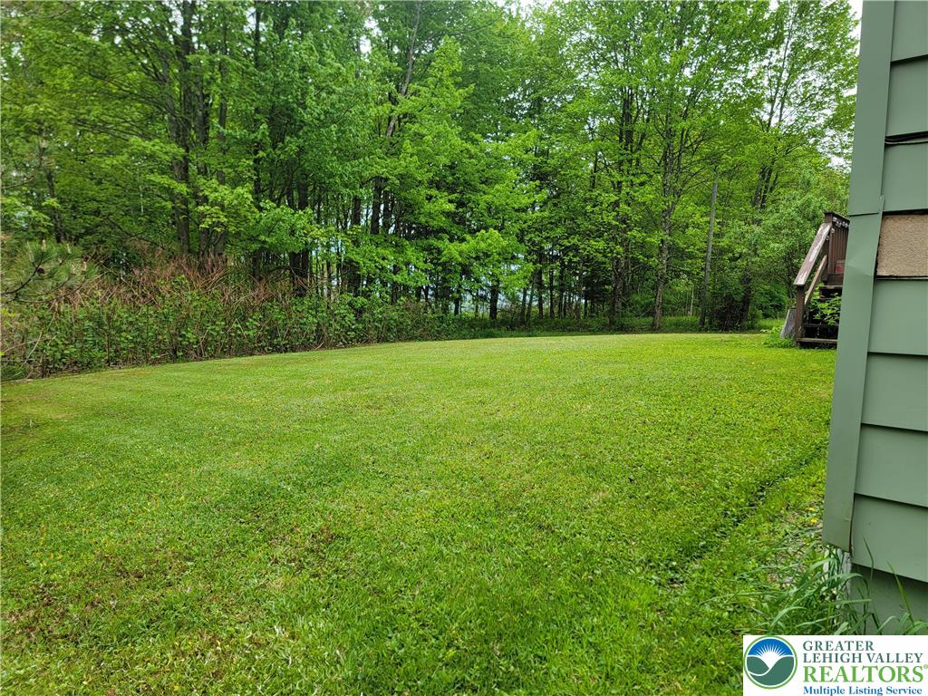 320 Hillside Street Forest City, PA 18421 - Photo 4 of 24 a view of a field of grass and trees