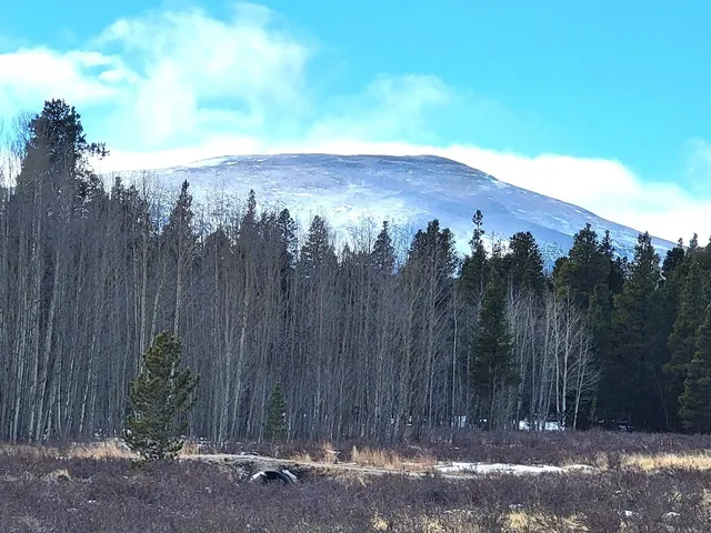 a view of a backyard with green space