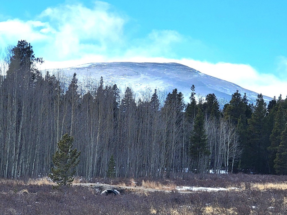 a view of a backyard with green space