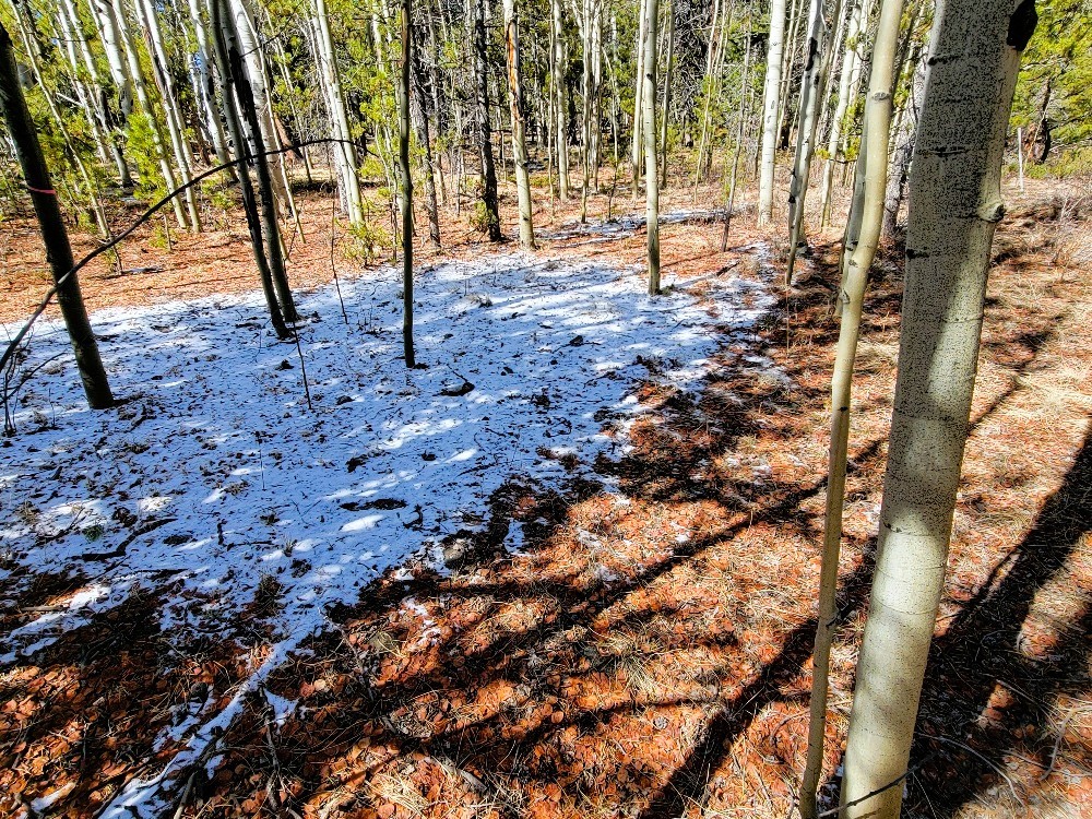 162 Thick Spike Road Fairplay, CO 80440 - Photo 13 of 49 a view of yard