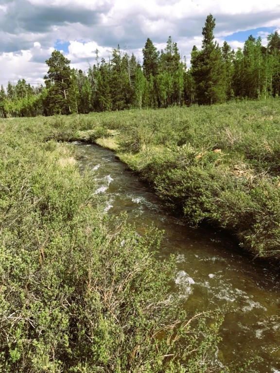 162 Thick Spike Road Fairplay, CO 80440 - Photo 14 of 49 a view of a yard with an outdoor space