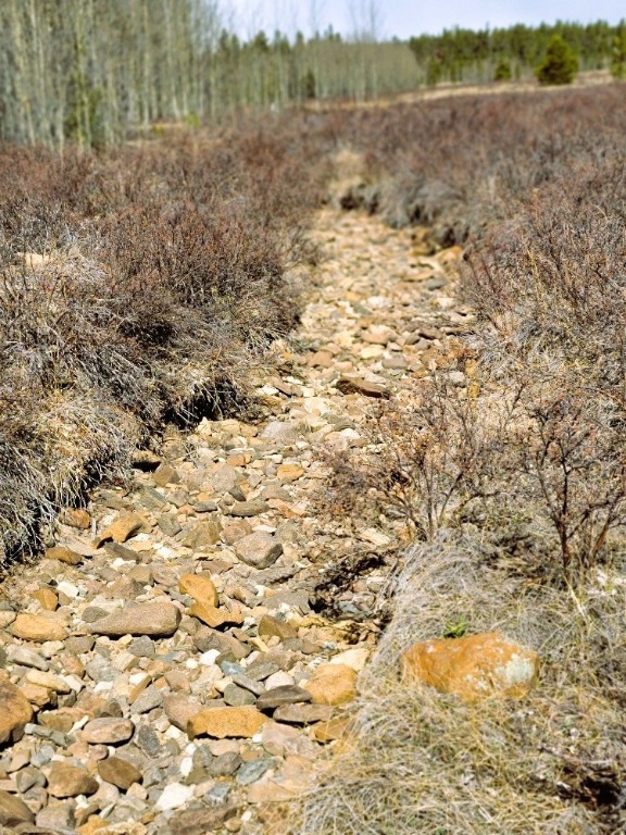 162 Thick Spike Road Fairplay, CO 80440 - Photo 15 of 49 a view of lake with mountain