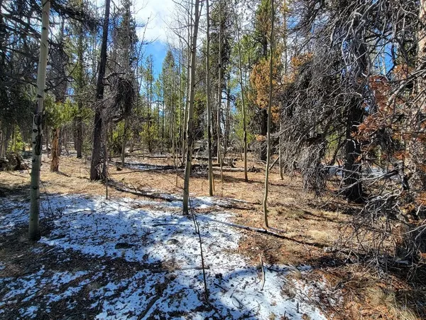 a view of a yard with trees