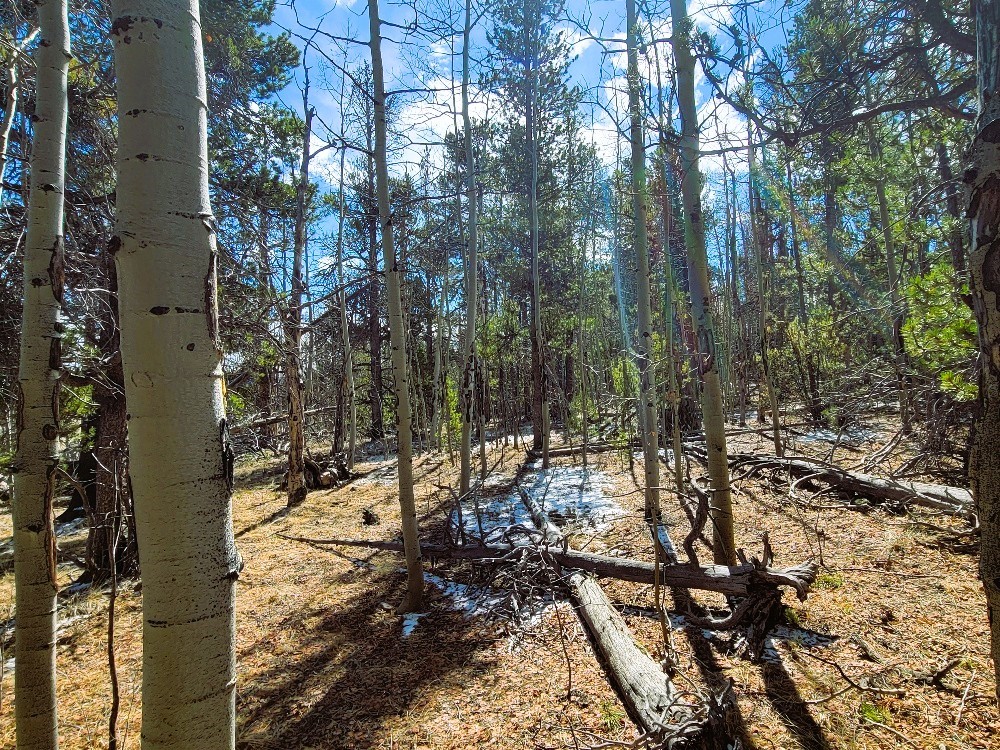 162 Thick Spike Road Fairplay, CO 80440 - Photo 25 of 49 a view of outdoor space