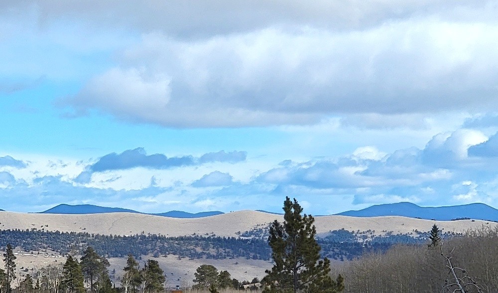 162 Thick Spike Road Fairplay, CO 80440 - Photo 3 of 49 a view of a city
