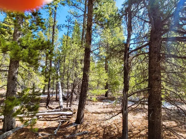 a view of outdoor space with trees