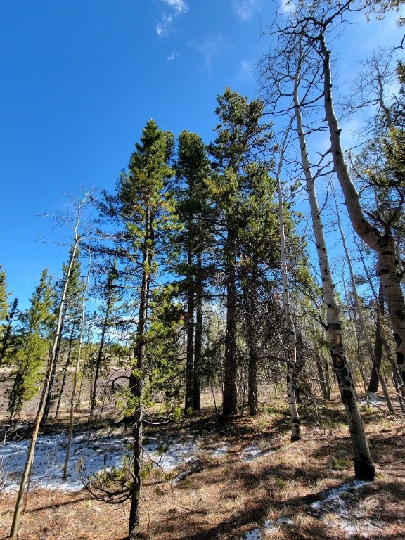 162 Thick Spike Road Fairplay, CO 80440 - Photo 41 of 49 a view of a backyard of the house