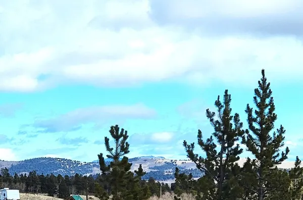 a view of a yard