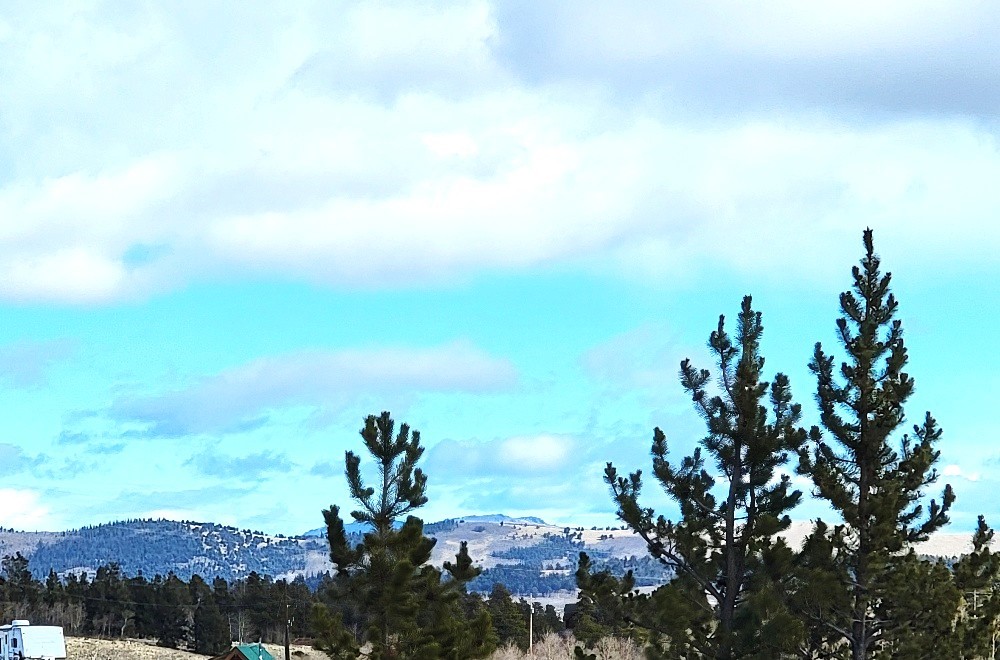 162 Thick Spike Road Fairplay, CO 80440 - Photo 43 of 49 a view of a bunch of trees