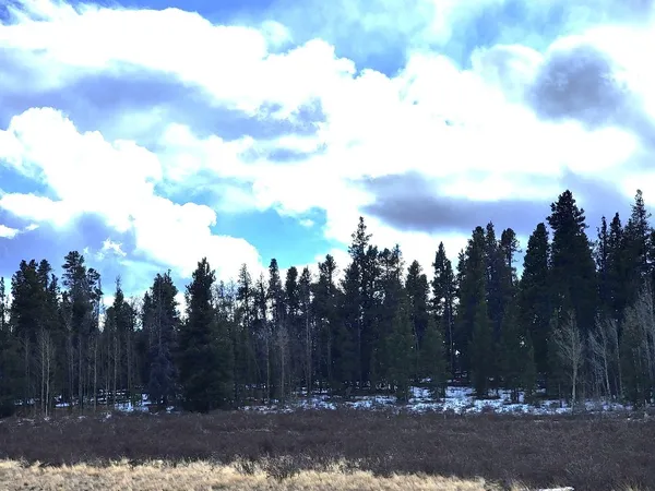 $139,000 | 162 Thick Spike Road, Fairplay, CO 80440