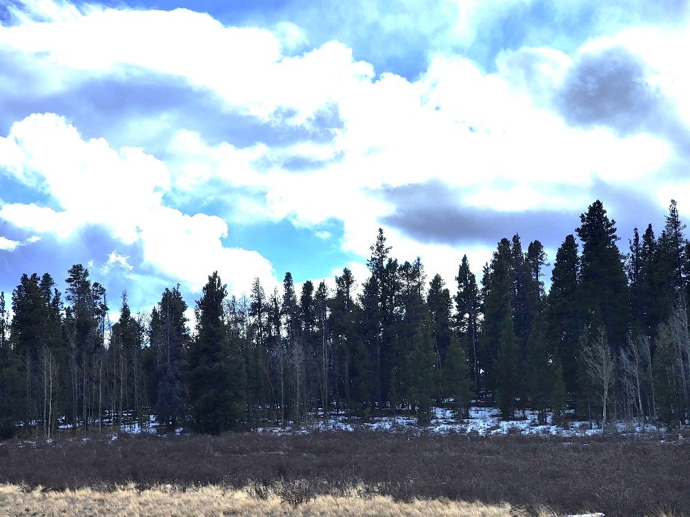 162 Thick Spike Road Fairplay, CO 80440 - Photo 46 of 49 a view of a backyard of the house