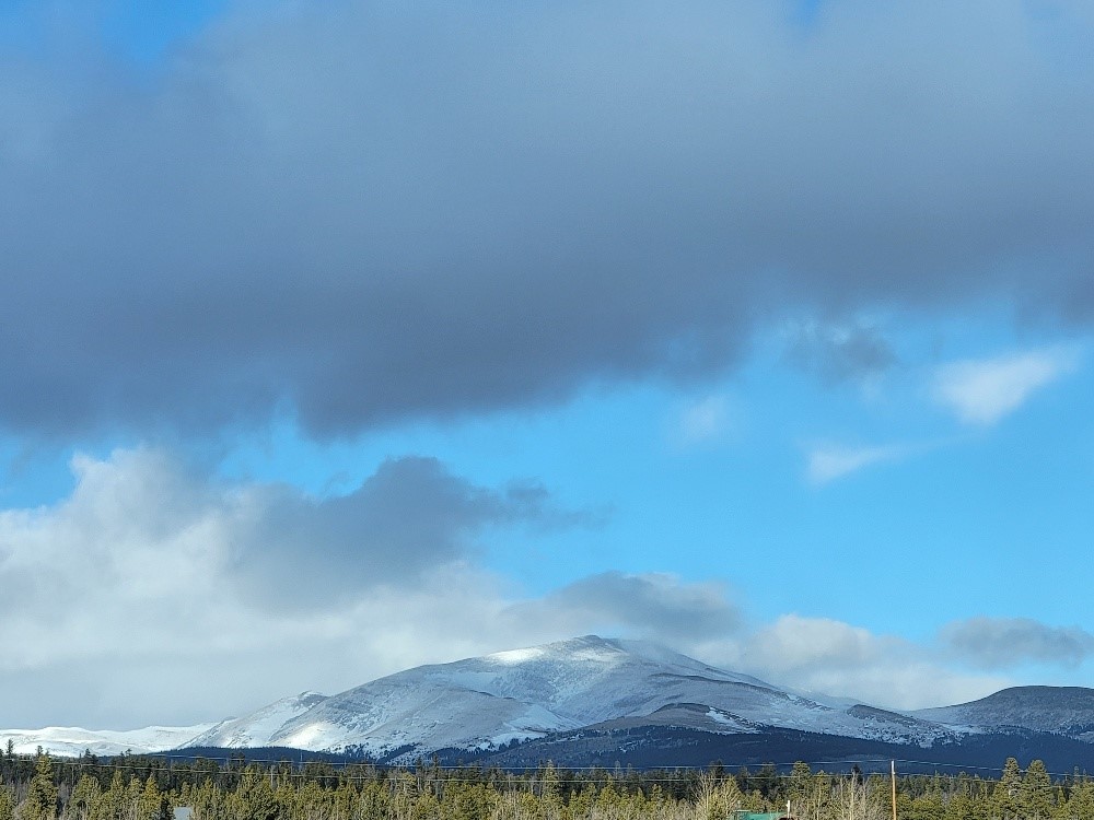 162 Thick Spike Road Fairplay, CO 80440 - Photo 49 of 49 a view of a yard