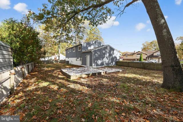 a view of yard with tree s