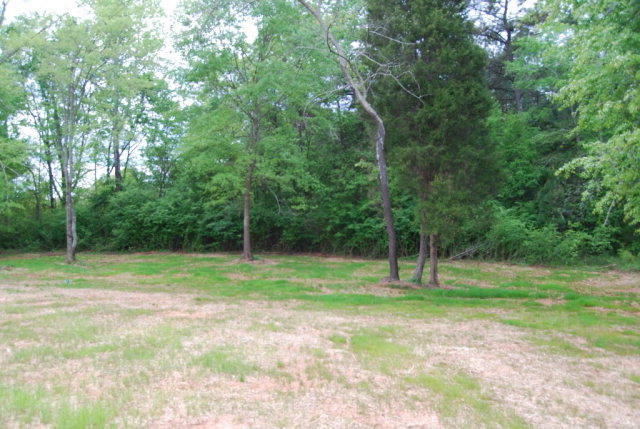 92 Carters Way Forsyth, GA 31029 - Photo 2 of 21 a view of outdoor space with trees all around