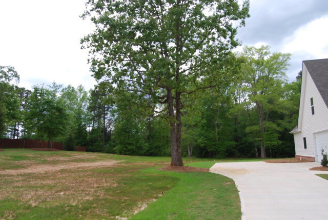 92 Carters Way Forsyth, GA 31029 - Photo 4 of 21 a view of a field with a tree