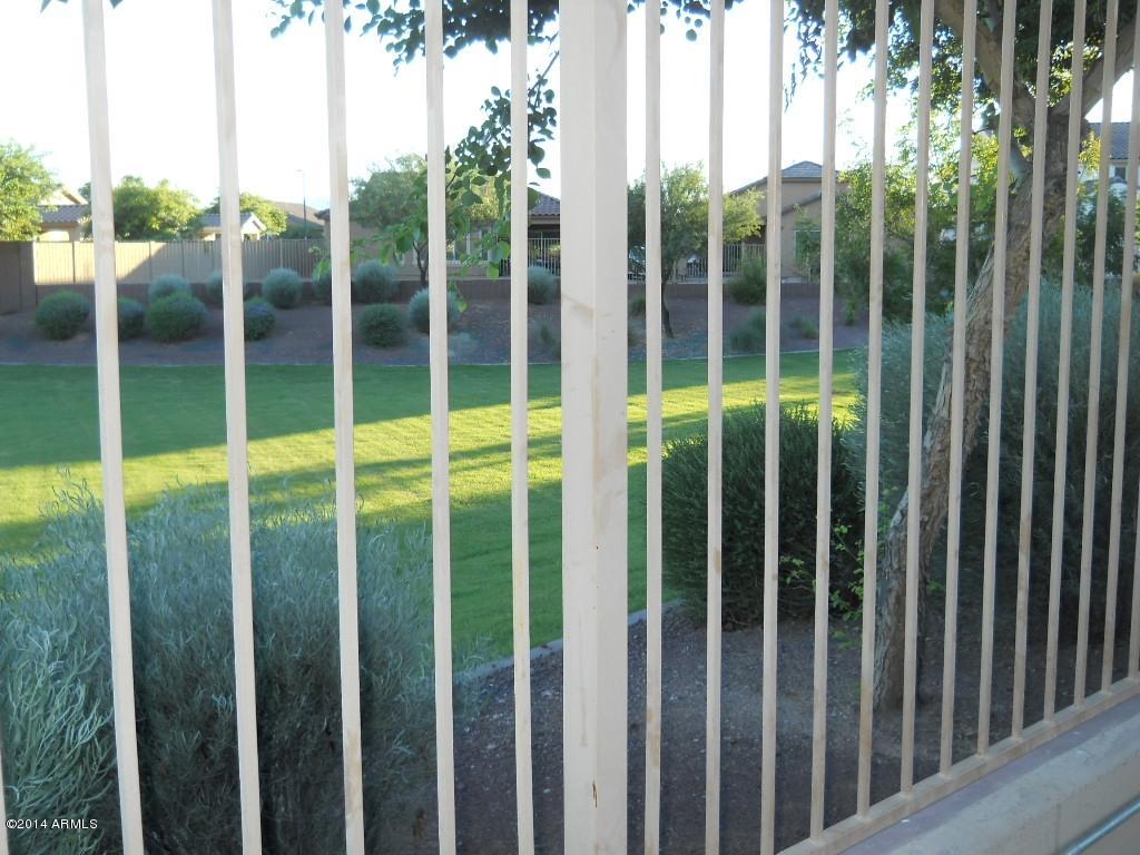 17729 West Red Bird Road Surprise, AZ 85387 - Photo 41 of 49 DSCN3659