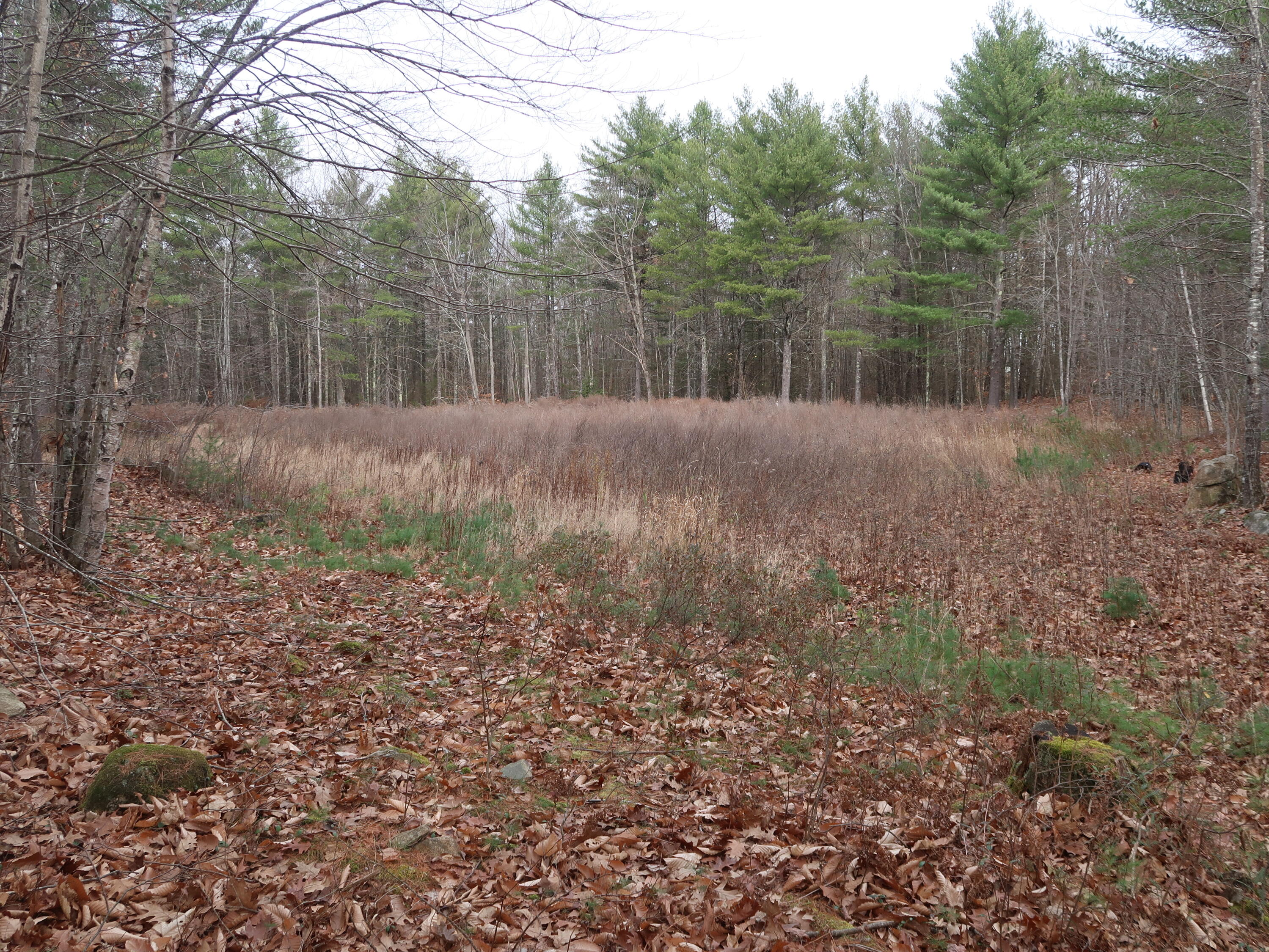 614 Windsor Road Augusta, ME 04330 - Photo 16 of 56 IMG_0249