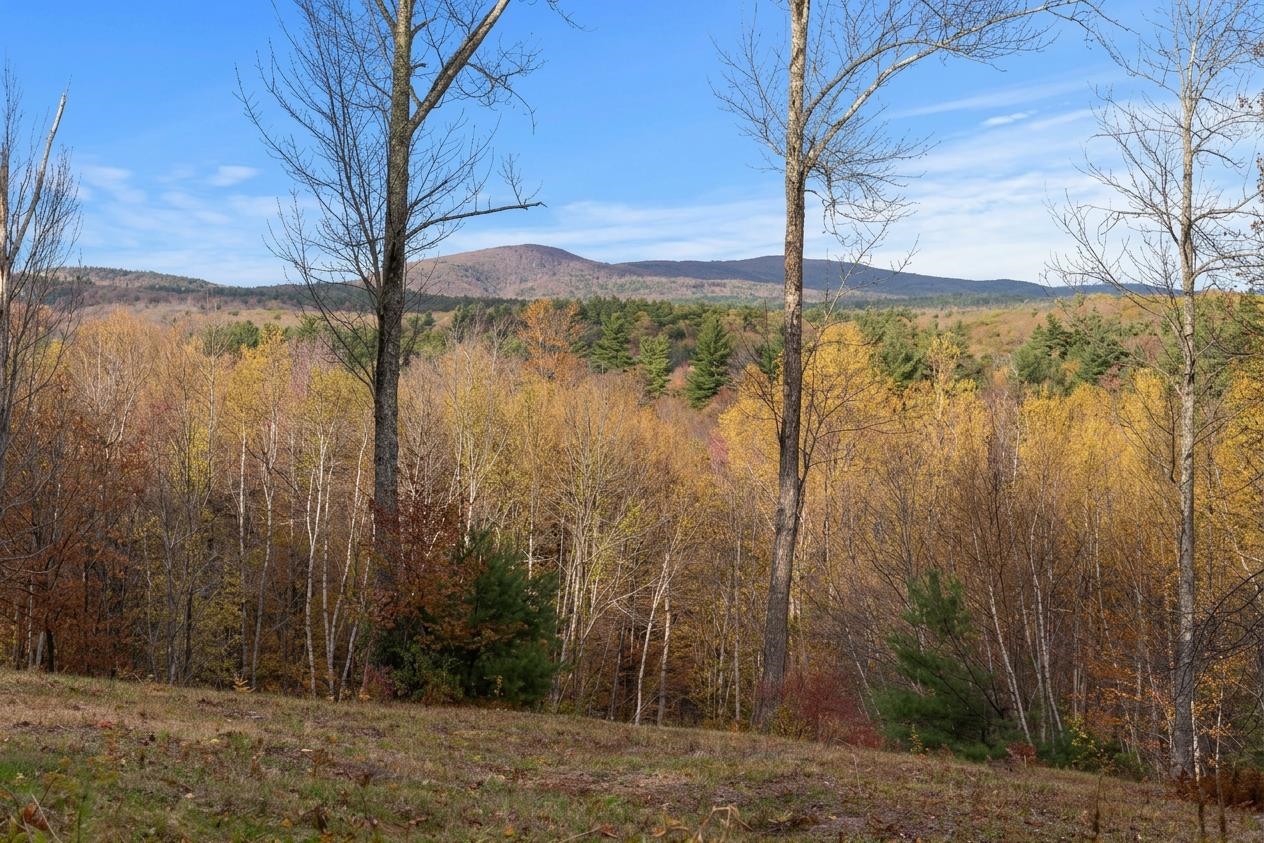 8 A Stonegate Farm Road Temple, NH 03084 - Photo 2 of 10