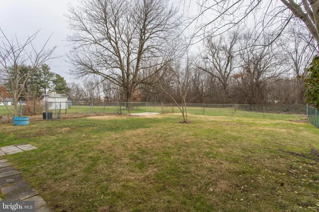 a view of a field with trees