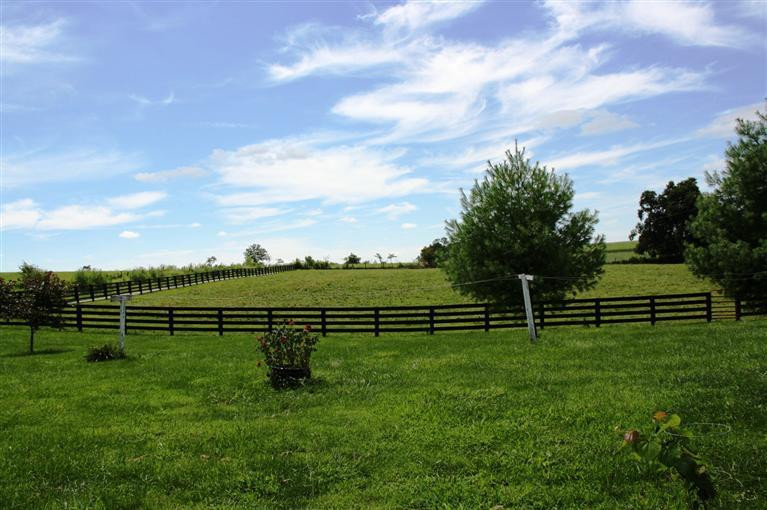 227 Youngs Mill Road Paris, KY 40361 - Photo 6 of 21 Photo 6